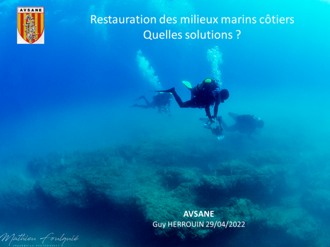 Restauration des milieux marins cotiers quelles solutions