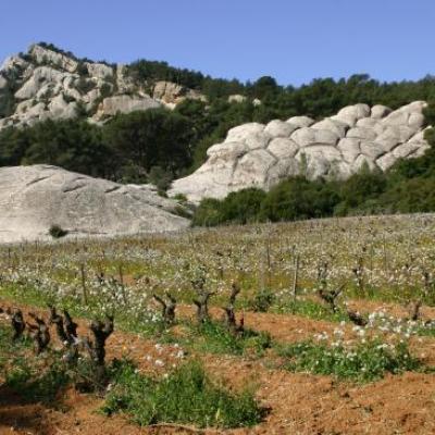 Sortie géologique