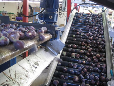 Visite de la Coopérative