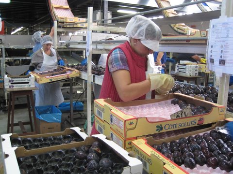 Visite de la Coopérative