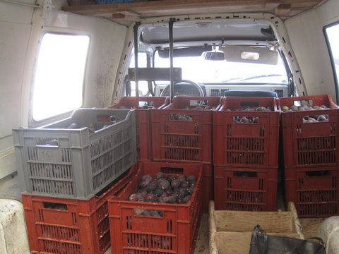 Visite de la Coopérative