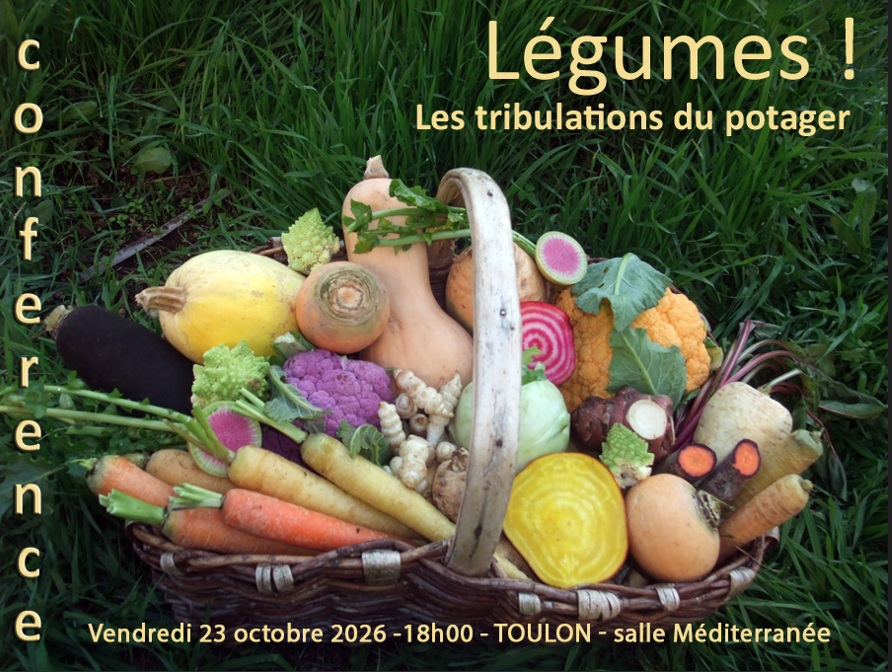 Legumes
